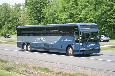 greyhound bus boston to albany